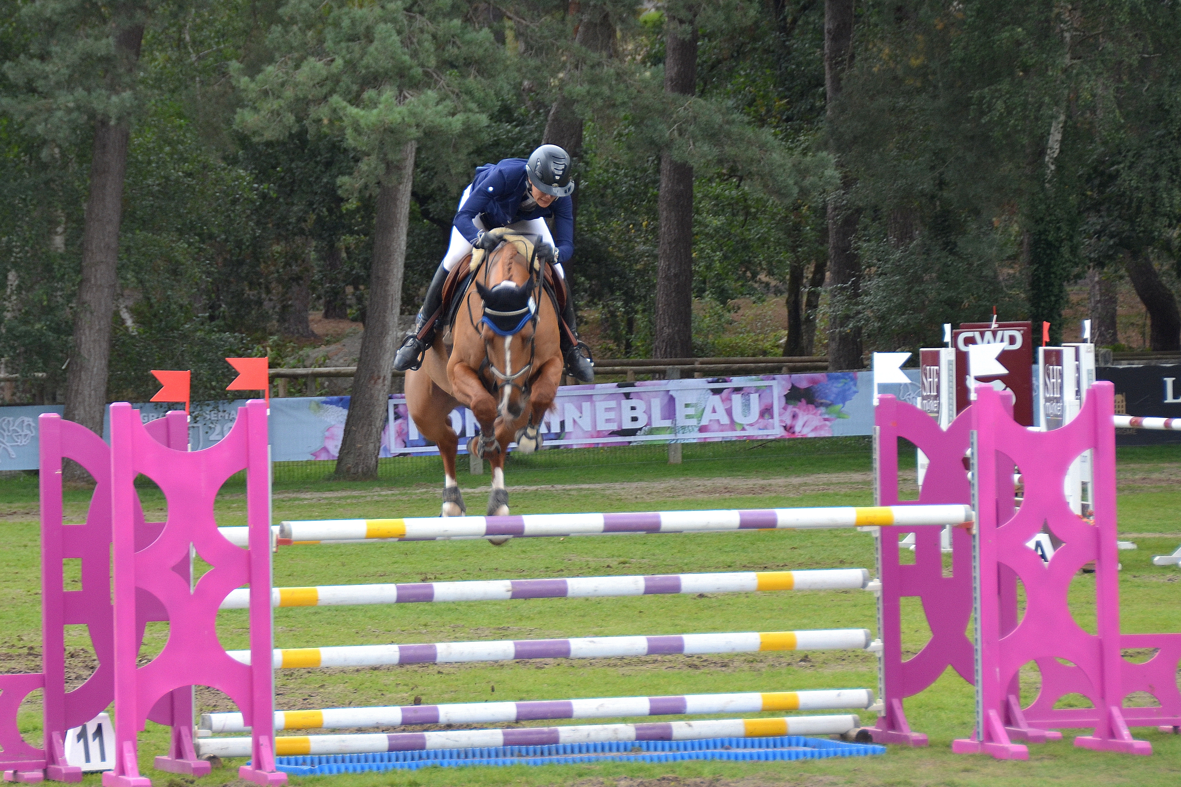 DAISY TAME double sans faute à Fontainebleau