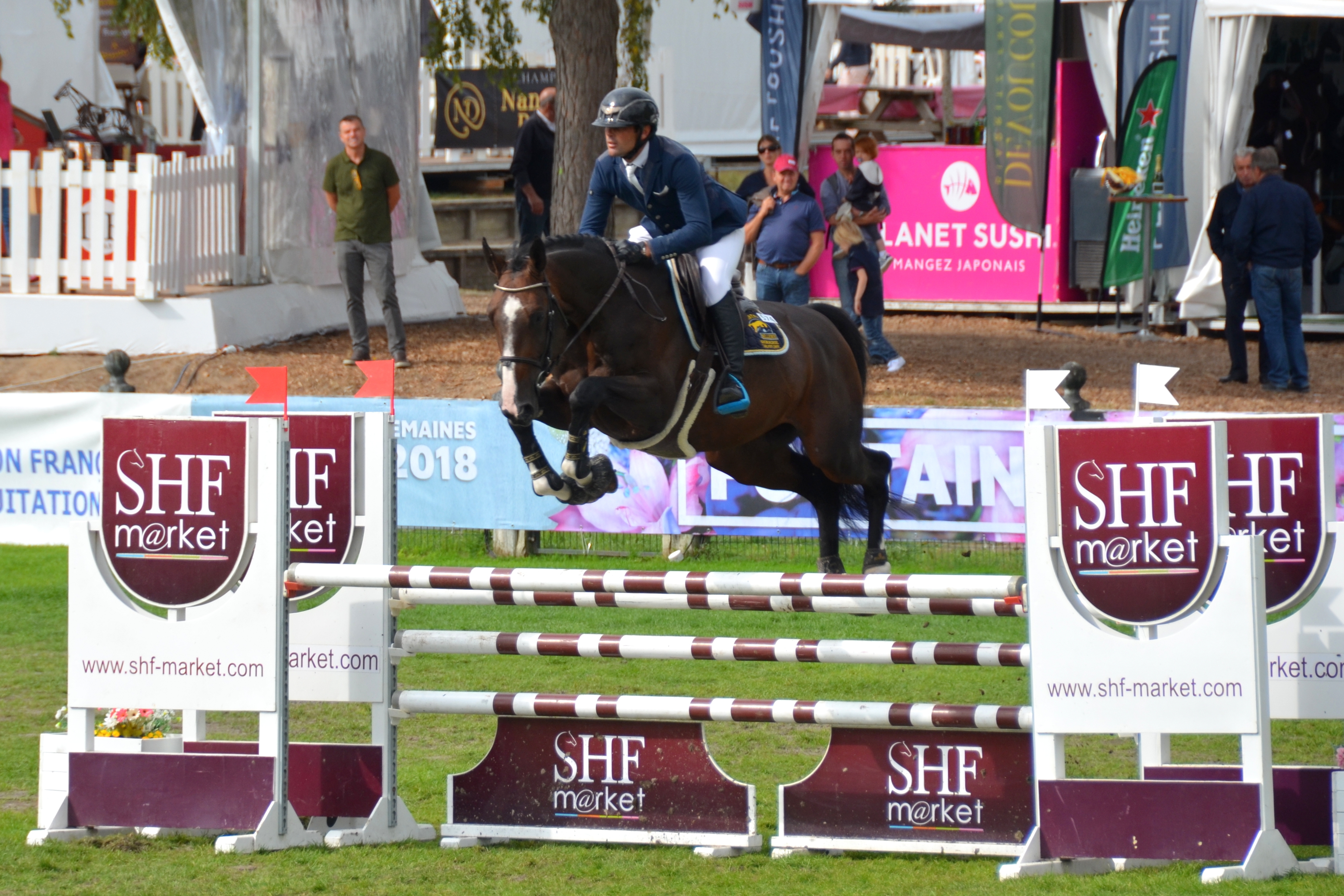 DIEGO TAME 7ème à Fontainebleau, triple sans faute