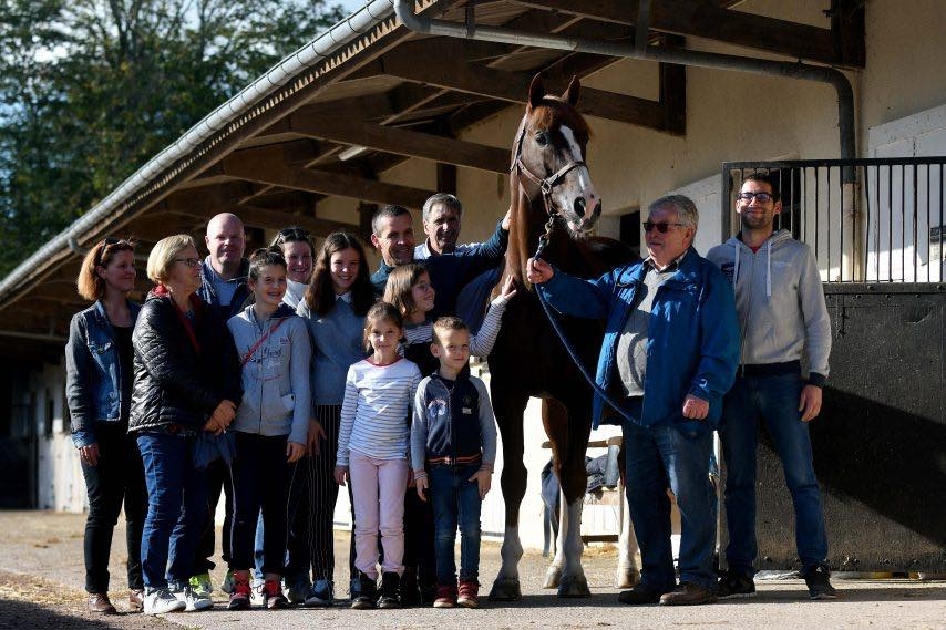 QUABRI DE L’ISLE au Haras de Tamerville