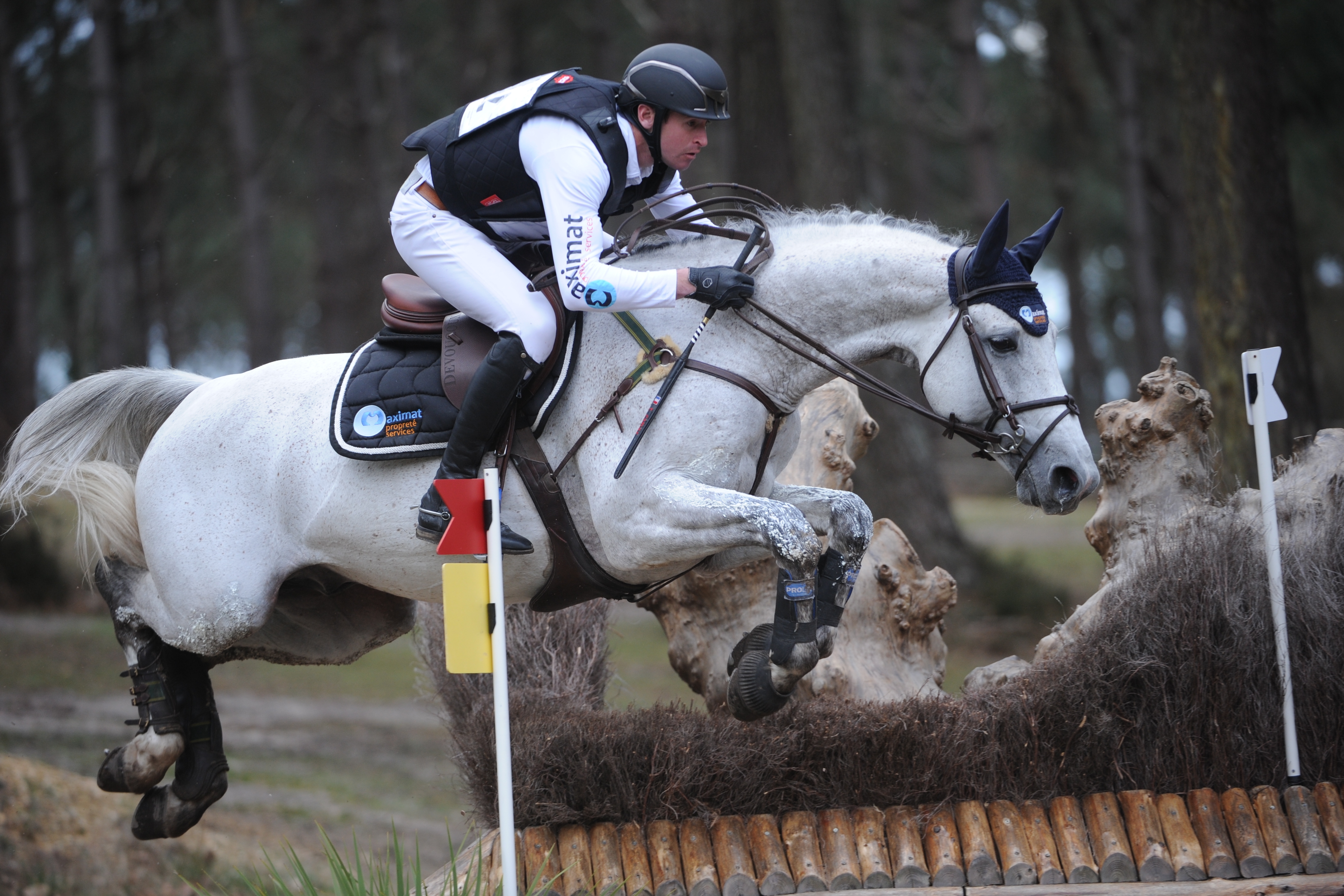 UPSILON, le crack du CCE stationné au Haras de Tamerville